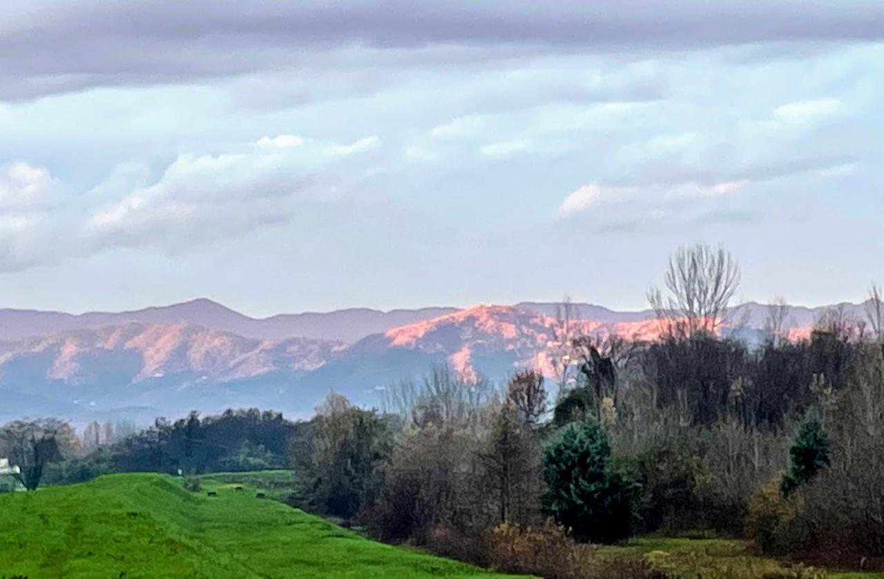 La Dimora Di Corte Lucques Extérieur photo